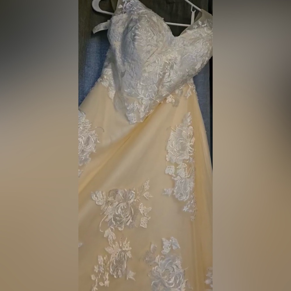 Champagne Color Wedding Gown w/ Floral Appliqués, fit similar street 14-16